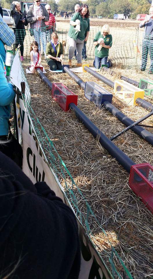 The Henley Show - Ploughing Match